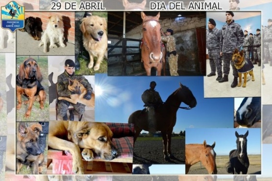 Policía homenajea a los animales.