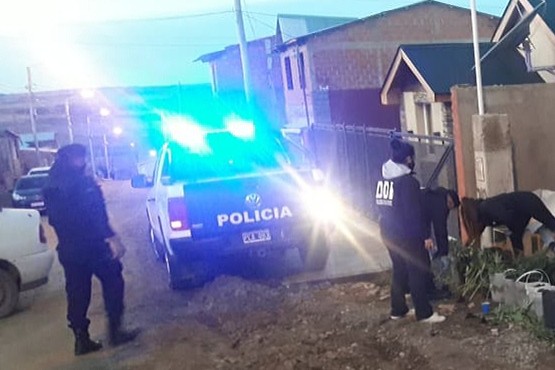 Le encontraron 26 plantas de marihuana en la casa: había salido en libertad dos días antes