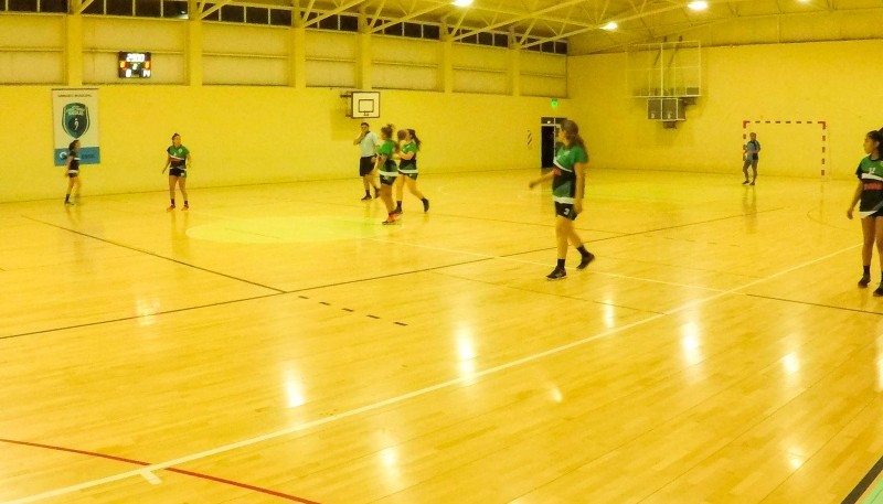 Comenzó a disputarse ayer la Liga Municipal de Handball