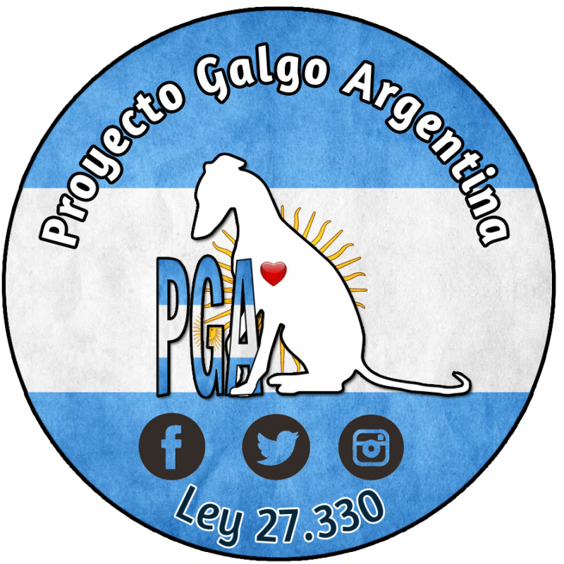 Proyecto Galgo Argentina fue la organización que por años promovió el proyecto que se convirtió en la Ley 27.330.
