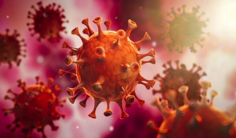 Coronavirus: Se registraron tres nuevos fallecidos 