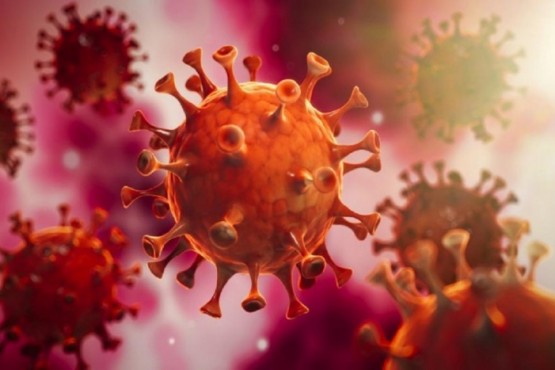 Un nuevo fallecido de coronavirus en Santa Cruz 