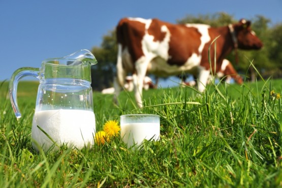 La leche es un alimento muy nutritivo y beneficioso para el organismo.