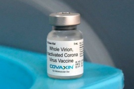 Covaxin: cómo es y qué eficacia tiene la vacuna de India