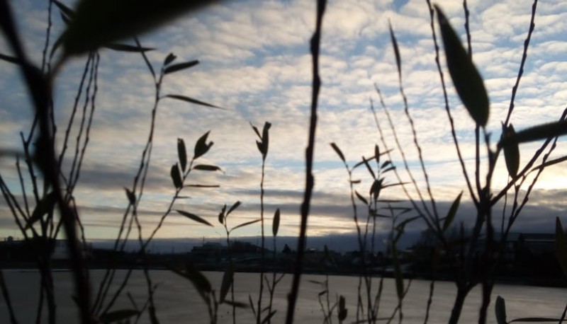 Una posibilidad de visibilizar la situación de las lagunas en Río Gallegos. 