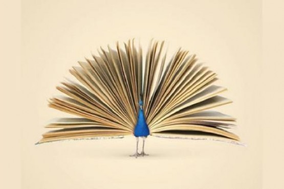 ¿Un pavo real o libro? Test viral para conocer qué es lo que debes modificar en tu vida