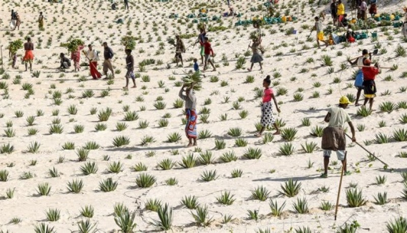 Día contra la Desertificación y la Sequía.