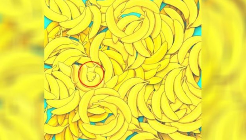 Ubica la serpiente entre las bananas 