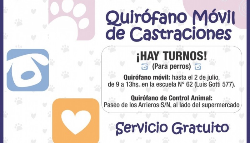 Hay turnos disponibles para castración de perros en Río Gallegos 