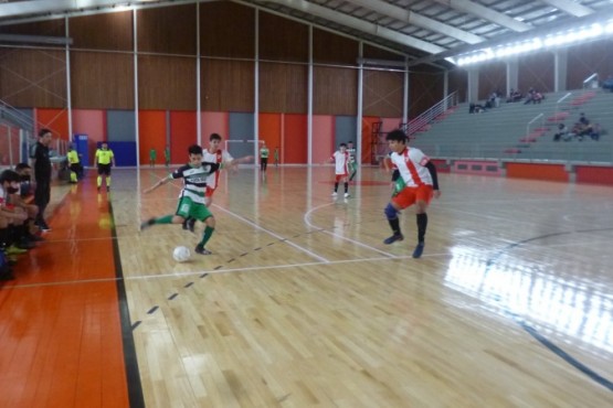 Todos los partidos se concentraron en el polideportivo. 