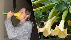 Tiktoker olió una flor en la calle y luego comenzó a sentirse mal porque era muy venenosa