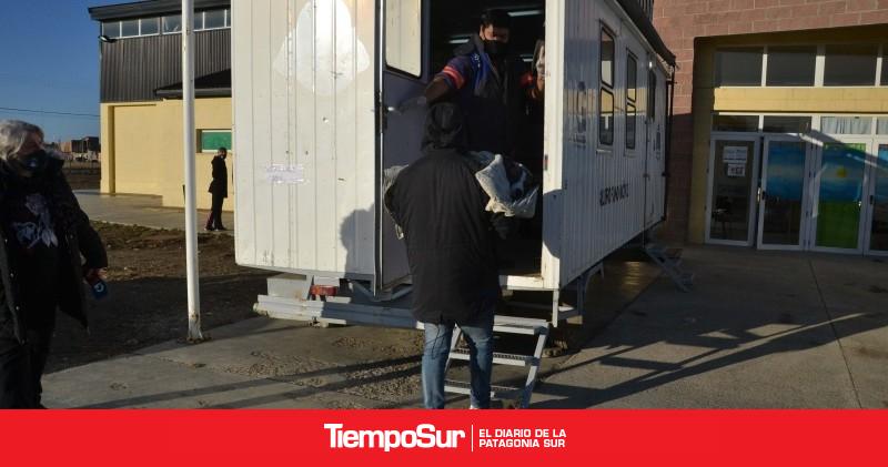 Santa Cruz | Municipio de Río Gallegos incentiva a los vecinos a castrar y patentar sus mascotas - Vimarsana News
