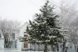 Alertas tempranas por nevadas intensas en varias provincias