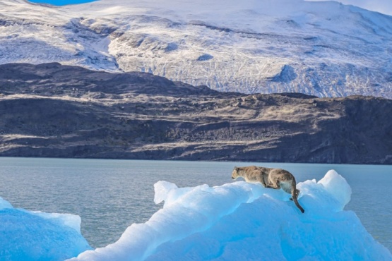 Foto: Luis Acharez / Señal Calafate.