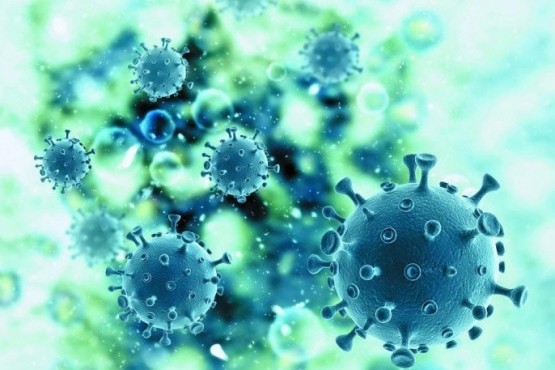 Coronavirus: Se registró un nuevo fallecido