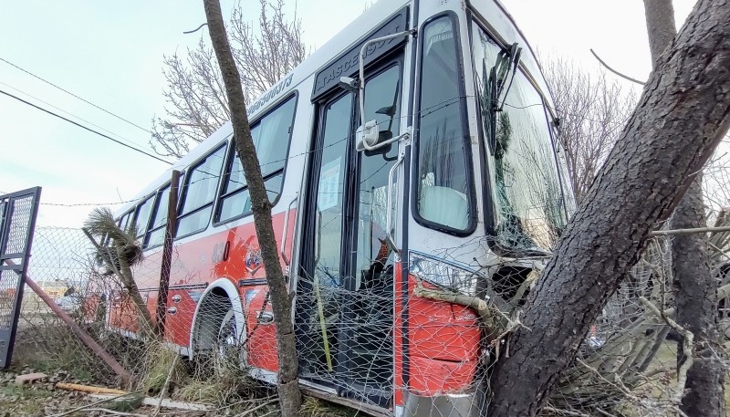 El colectivo terminó contra el árbol. (-Foto: C.G.)