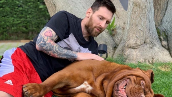 Dónde está Hulk, el enorme y cariñoso perro de Lionel Messi