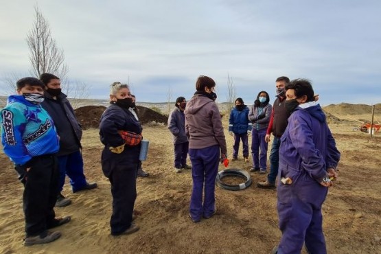 Capacitan a trabajadores de Forestación para la instalación de un Viñedo Modelo en la ciudad