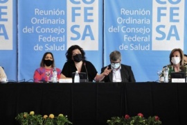 Carla Vizzotti encabeza en San Luis la segunda jornada del Consejo Federal de Salud