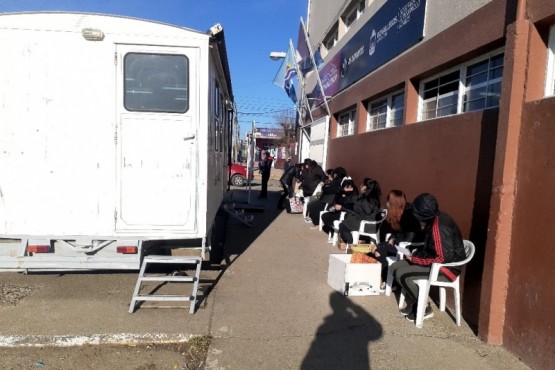 Aumentó la cantidad de personas que quieren castrar a sus mascotas.