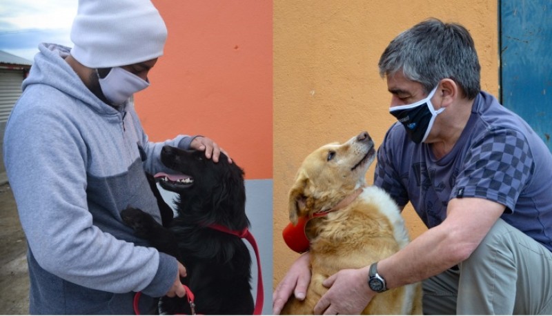 Los perros “Rubio” y “Toby” (padre e hijo) fueron adoptados.