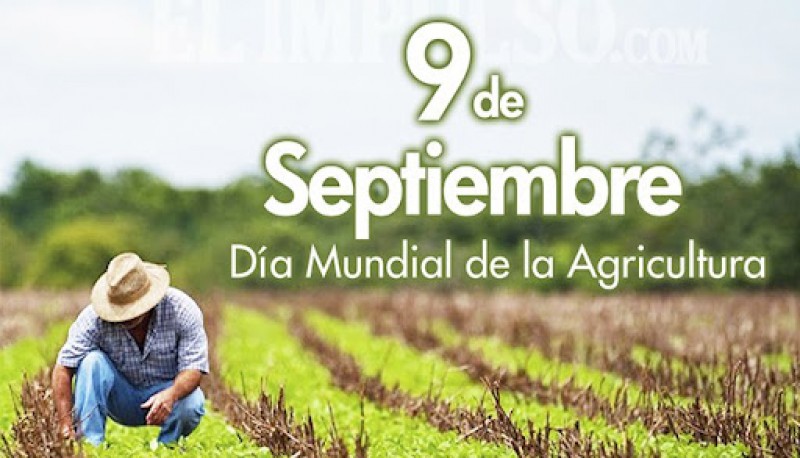 Hoy es el día mundial de la agricultura. 
