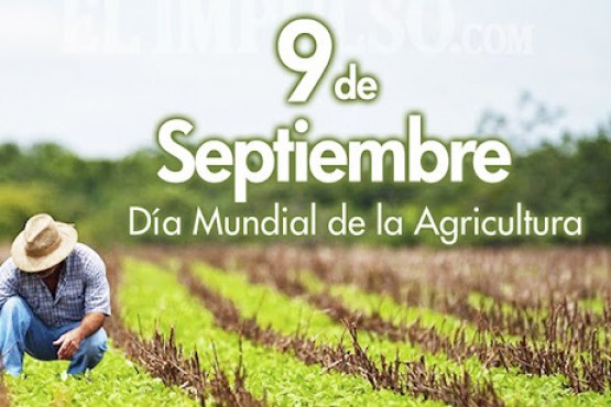 Hoy es el día mundial de la agricultura. 