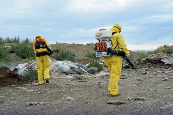 Fumigación vaciadero.