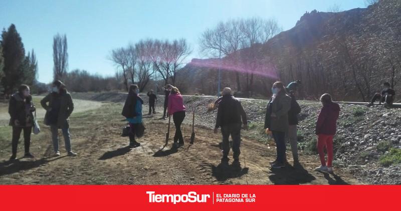 Chubut | Forestación de árboles nativos en El Maitén - Vimarsana News