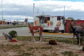 Animales de la estepa patagónica tienen sus esculturas