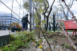 Empezó la forestación de la plaza San Martín de Río Gallegos