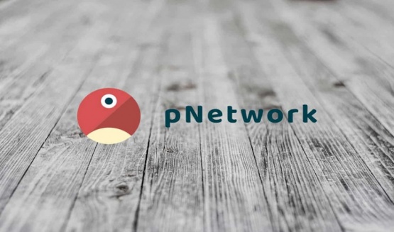pNetwork es víctima de ataque cibernético