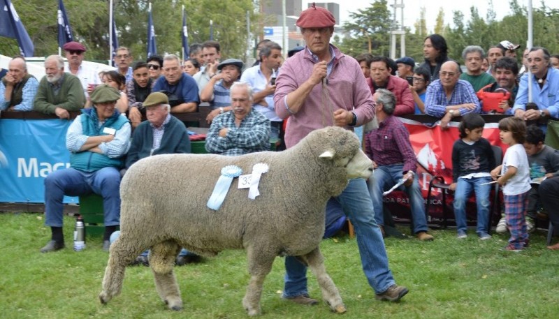 Ya comenzaron a trabajar en los eventos que vienen. 