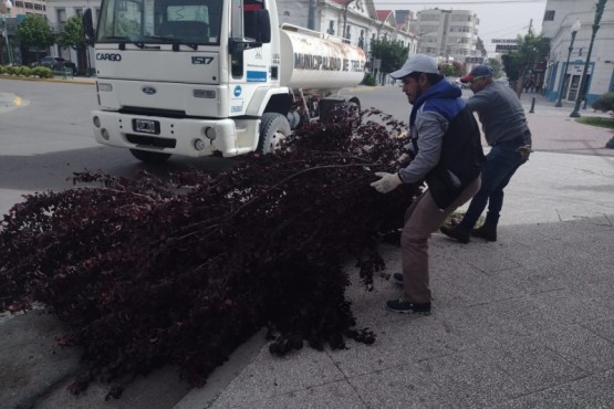 Trelew trabajó durante el temporal.