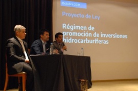 Darío Martínez sobre la Ley de Hidrocarburos: “prevé estabilidad tributaria”