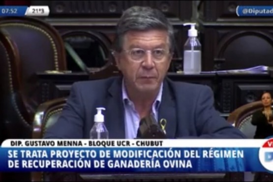 Gustavo Menna en Cámara de Diputados.