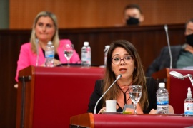 Diputados debatieron sobre el programa de Seguridad Alimentaria y los fondos requeridos