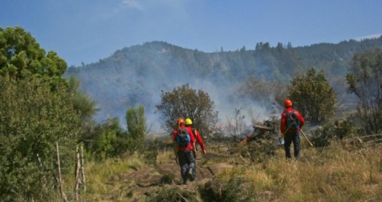 Incendios en el bosque. 