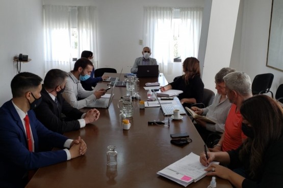 Reuniones de comisión en Cámara de Diputados.