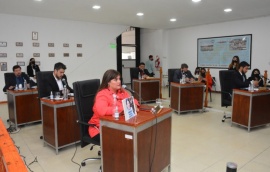 Concejo Deliberante de Río Gallegos aprobó por mayoría el presupuesto 2022