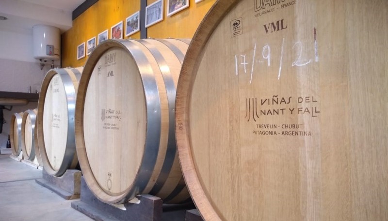 Barricas de roble francés para vinos de crianza.