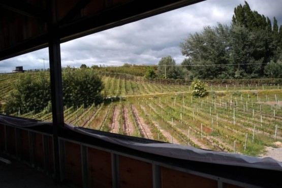 Vista desde lo que será el nuevo restaurante.