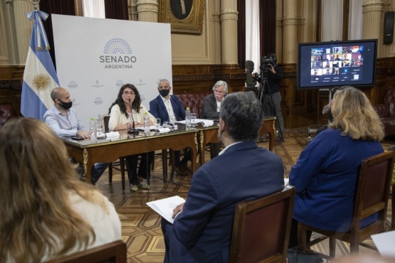 Presentación en el Senado.