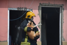 Heroico rescate en Río Gallegos: salvaron a un perrito del incendio