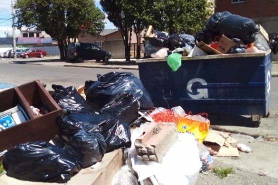 Residuos y desechos en un contenedor (Fotos JC Cattaneo)