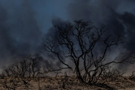 El incendio en la zona de Puerto Lobos está contenido 