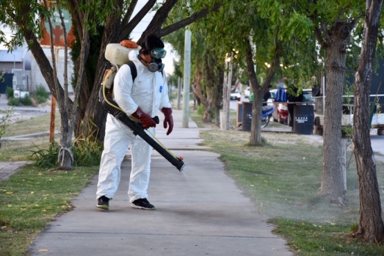 Fumigan en la vía pública de Trelew. 