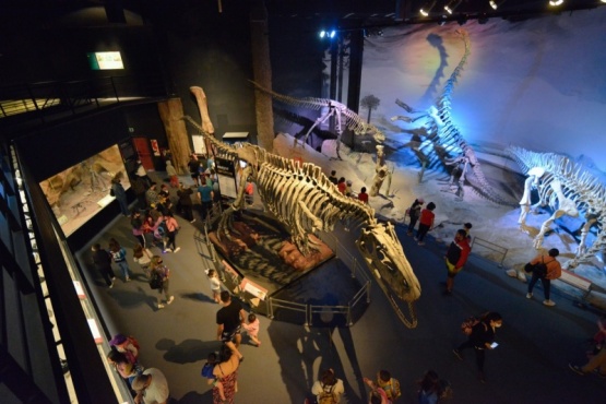 Museo arqueológico en Trelew. 