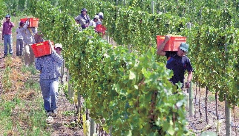 Día del trabajador vitivinícola