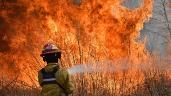 Incendios forestales. 